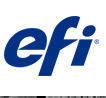 EFI Logo