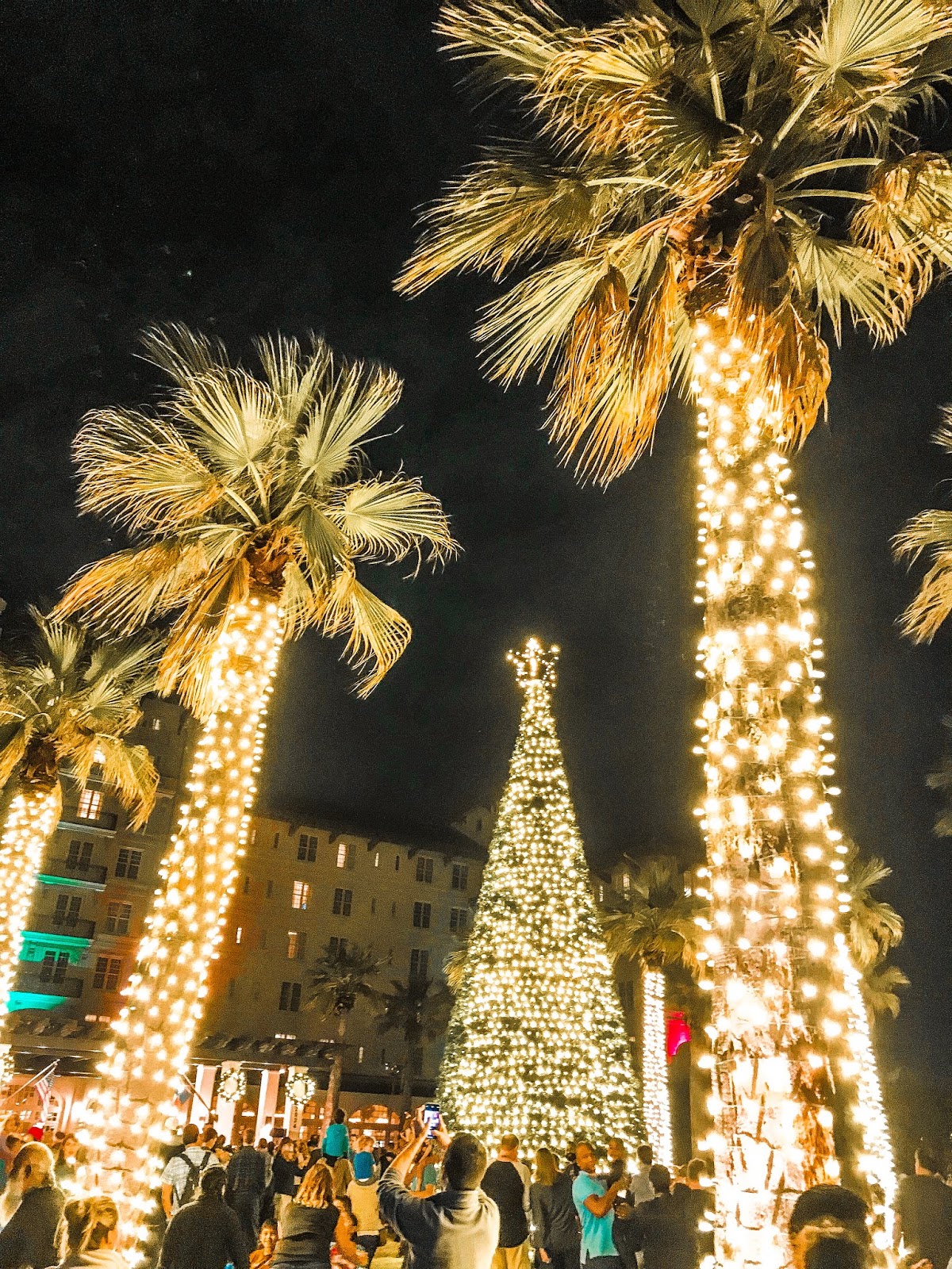 15+ Best Things to Do In Galveston During The Holidays 15+ Best Things to Do In Galveston During The Holidays