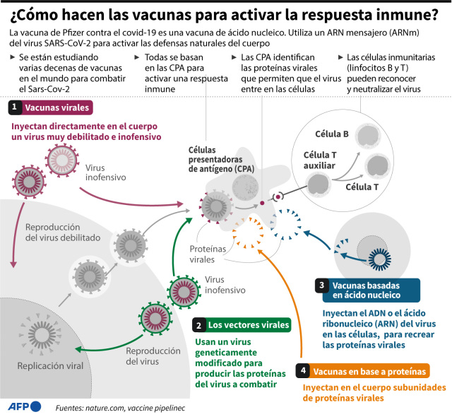 infografia vacuna Pfizer-TuParadaDigital