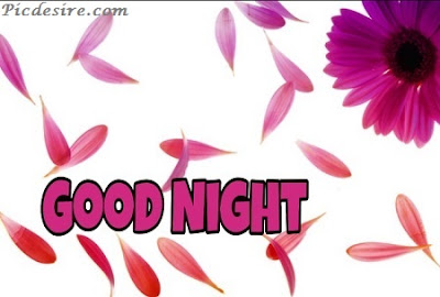 Top 101 Good Night Images || Best Good Night Images Top 101 Good Night Images || Best Good Night Images