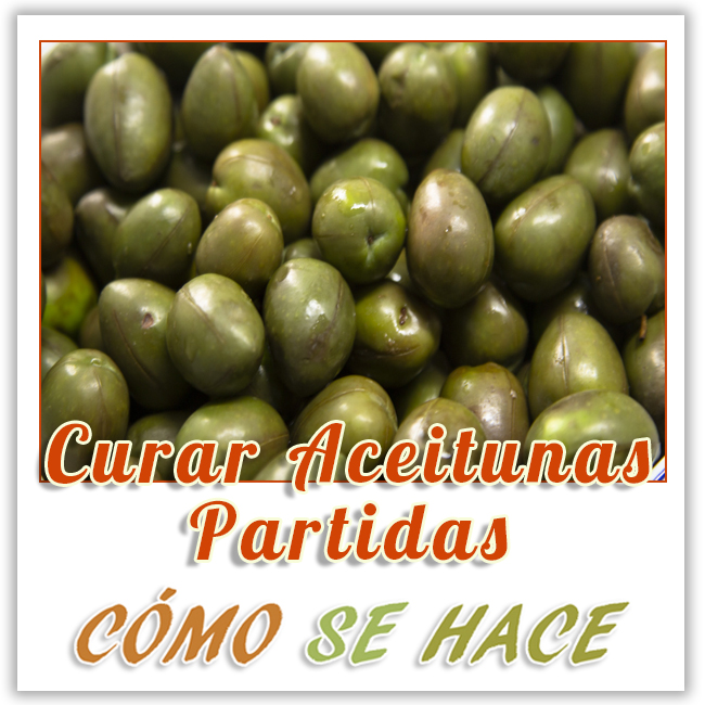 CURAR ACEITUNAS PARTIDAS