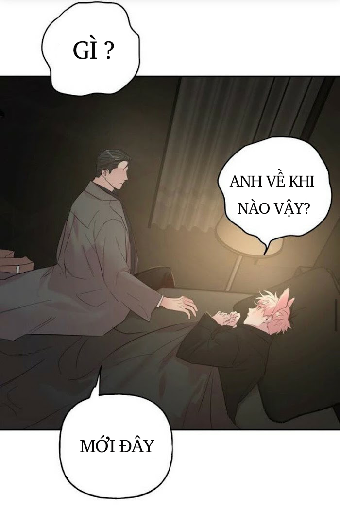 Đọc truyện Assorted Wildness - Chapter 26