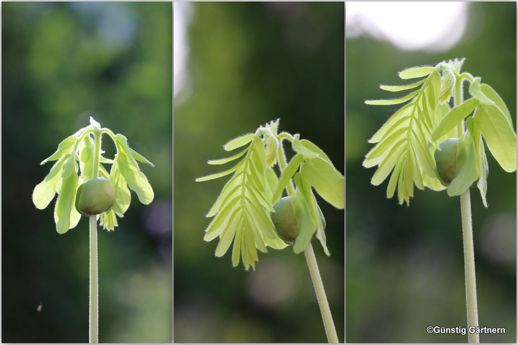 47 Valentinstag Ideen Fur Ihr Buro En 2020 Coeur En Photo Deco