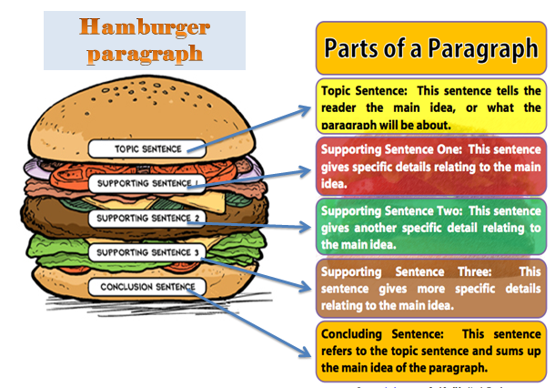 writing-the-hamburger-paragraph-slideshare
