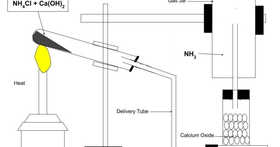 Draw a diagram of laboratory preparation of ammonia gas and label any