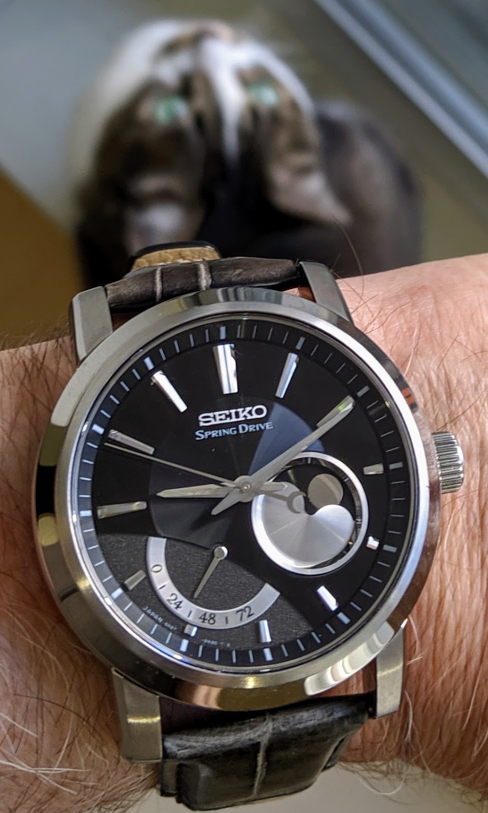 A Better Wrist: The Seiko Moonphase