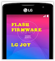 flash LG Joy