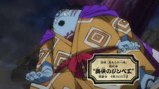 ワンピースアニメ ワノ国編 | ジンベエ | ONE PIECE JINBE | Hello Anime !