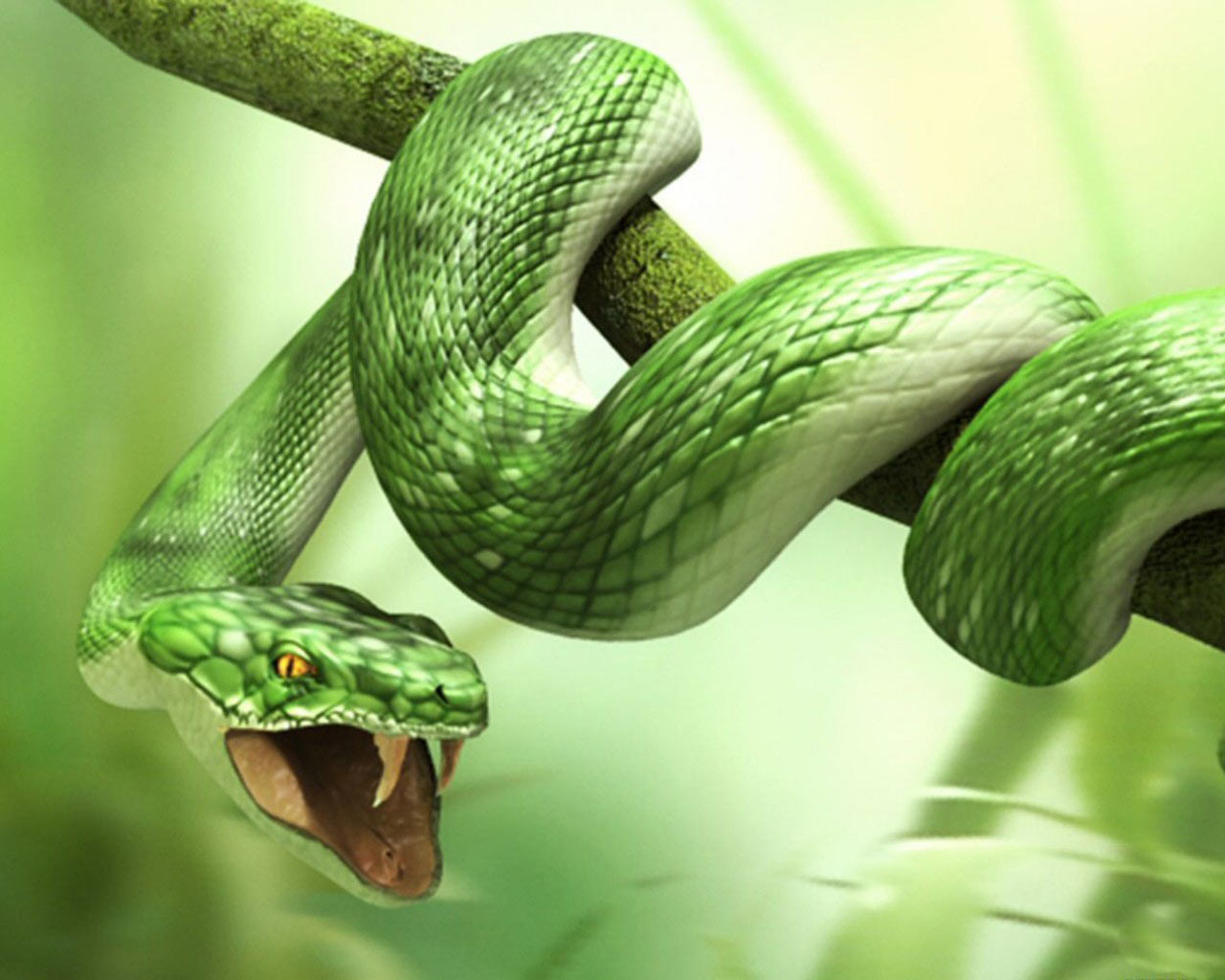 Wallpaper Zh: 3D Images Of Animals