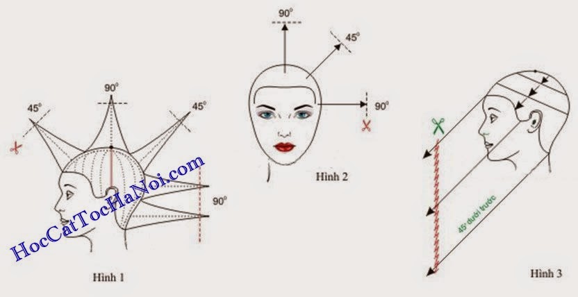 Học cắt tóc nữ, Kiểu tóc so le liên kết