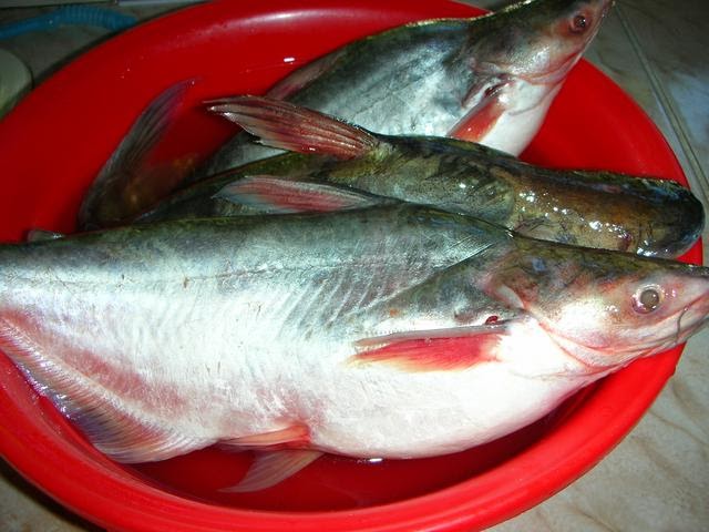 Resepi Bonda: Ikan Patin Masak Tempoyak