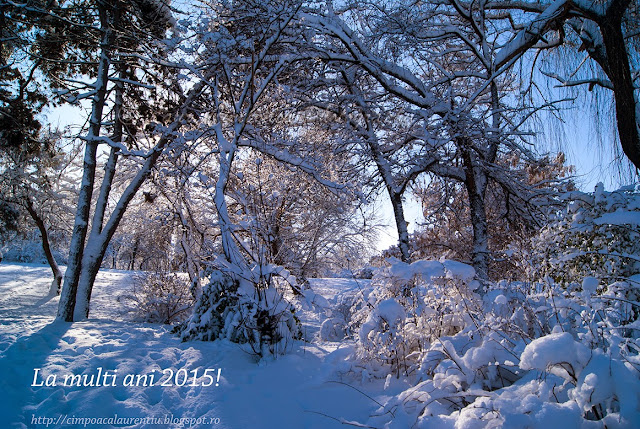 Un an nou fericit-Happy new year-Ευτυχισμένο το Νέο Έτος-Glückliches neues Jahr-Buon anno-Feliz Año Nuevo-Feliz Ano Novo-Joyeux Nouvel An-Boldog Új Év