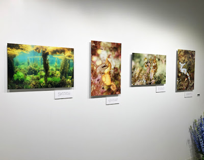 尾崎たまきさんの写真展  「姫竜が織りなす愛の物語」