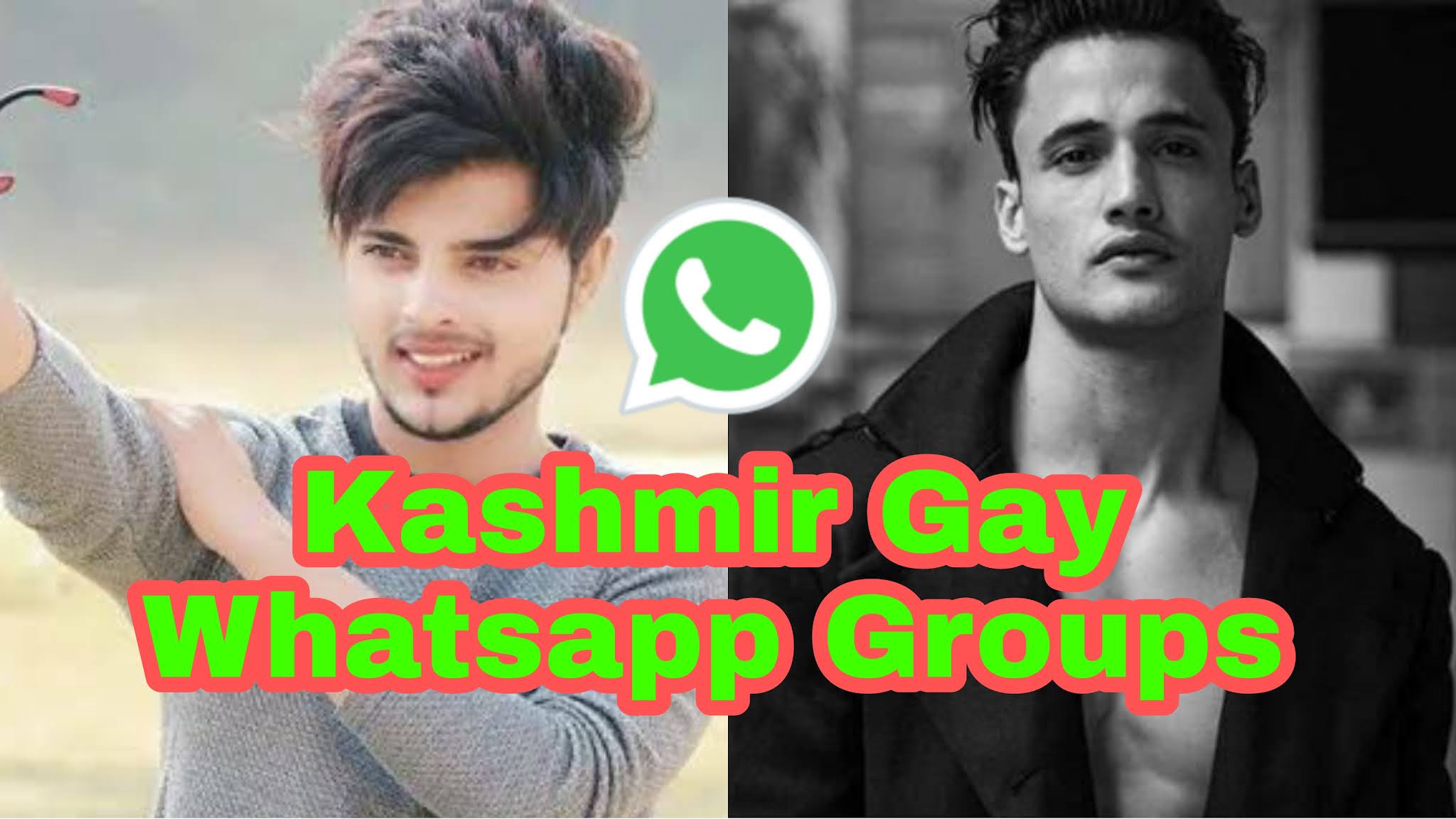 Gay chat whatsapp contacts
