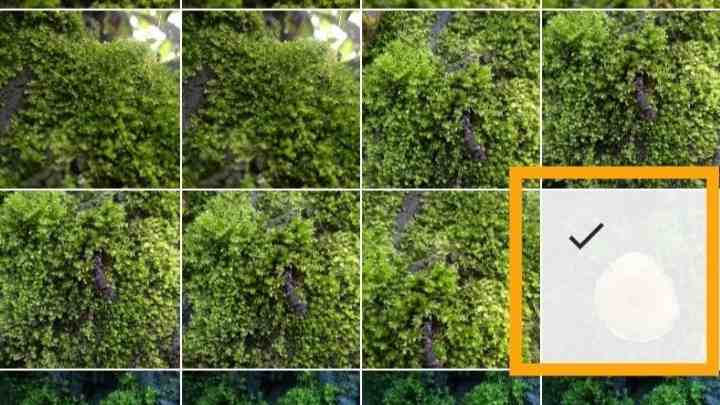 Cara menggunakan InShot di iPhone