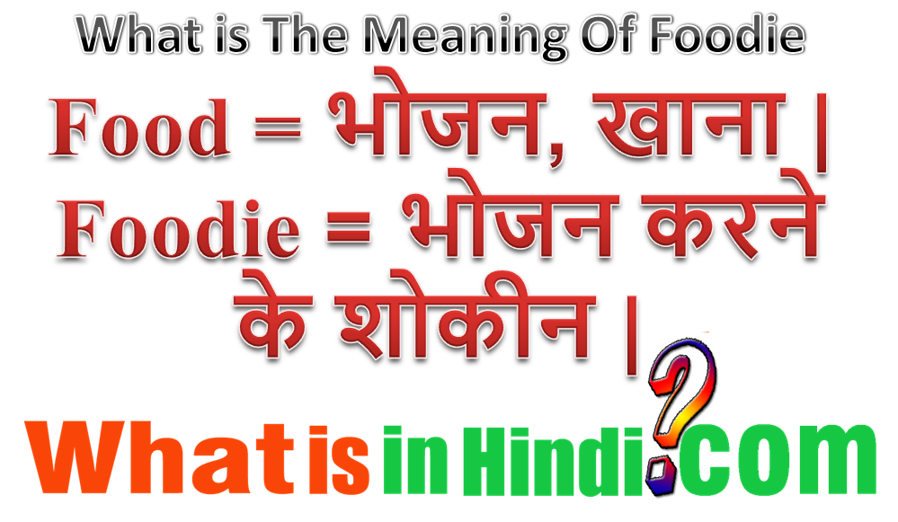 Foodie ka matlab kya hota hai Foodie का मतलब क्या होता है What is