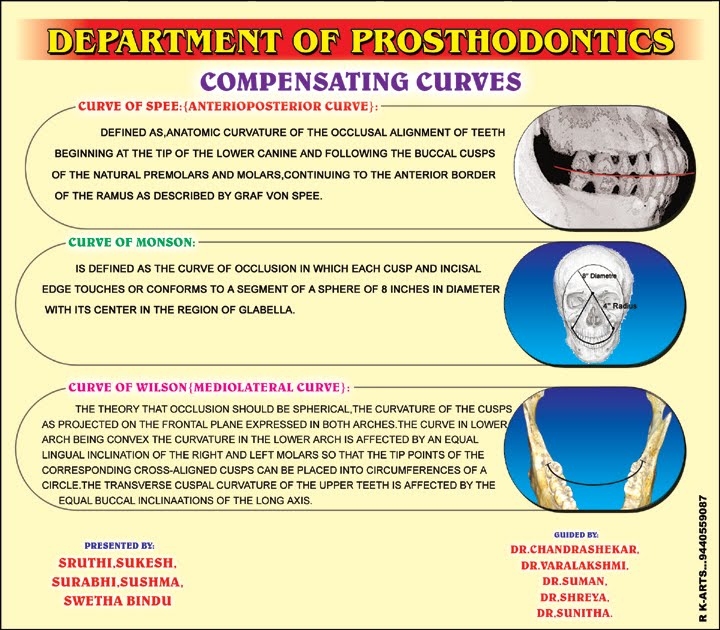 DENTAL MATRIX COMPENSATING CURVES POSTER