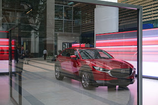 屋外用の秋の開花植物 - 観賞用または庭のキャベツ