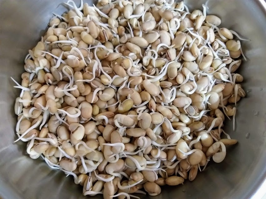 Everyday Cooking Parsi style Tittori/ Field beans recipe