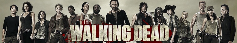 The Walking Dead - Serie Completa - Español Latino