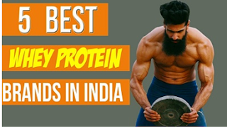 top 5 protein powders