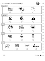 Mister Dee's Teaching Resources (SAT-10 Practice Tests, Etc.): SAT-10