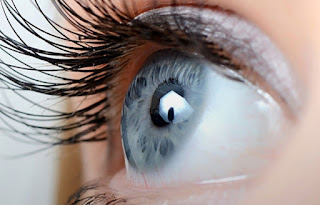 Photo: Look at the your eye on the notice board Faculty of medicine Dhaka University notice board