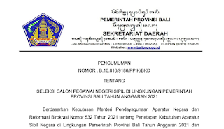 Bukaan CPNS Provinsi Bali 2021