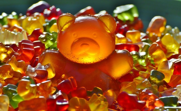 2022 Can Dogs Eat Gummy Bears Are Gummy Bears Bad For Dogs
