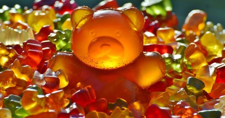 gummy bears for dogs