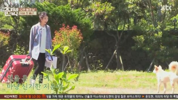 [효리네민박] 아이유의 등장에 사고회로에 문제가 온 남자들.jpg | 인스티즈