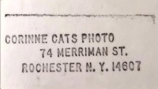Corinne Cats Photo 74 Merriman Street Rochester New York