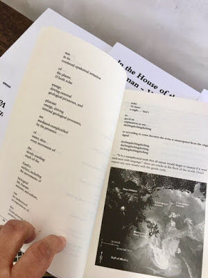 Galatea Resurrects 2017 (A Poetry Engagement): INTERVIEW: JOHN ...