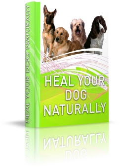 Heal Your Dog Naturally