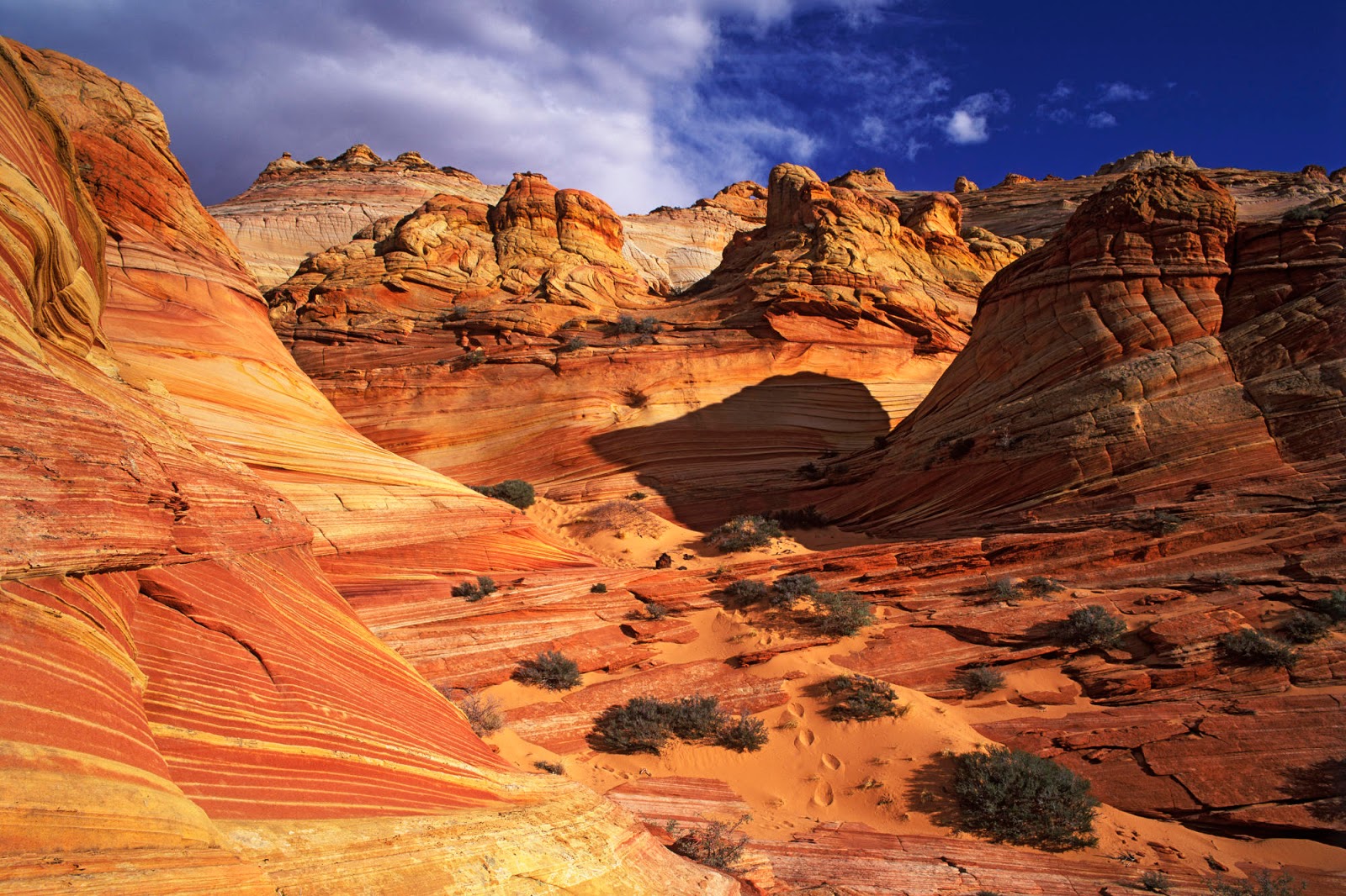 Slickrock Formation, Paria Canyon-Vermillion Cliffs Wilderness Area, Arizona скачать