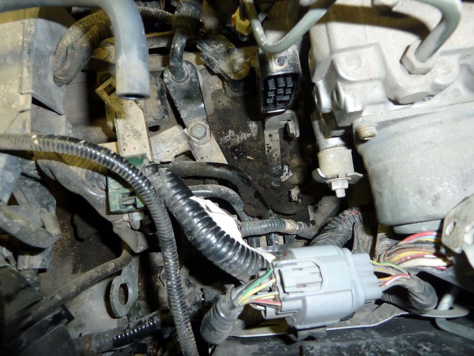 The Bug Boys: The Honda Odysseys transmission filter they don't tell