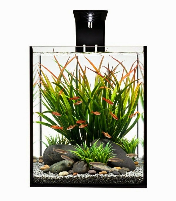 Use aquarium as a room divider – 26 examples.
