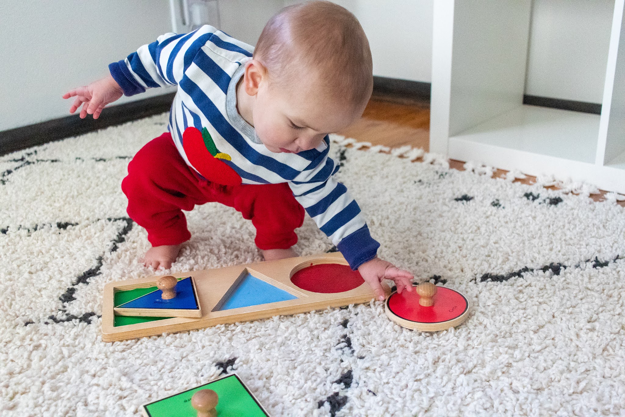 Montessori First Puzzles