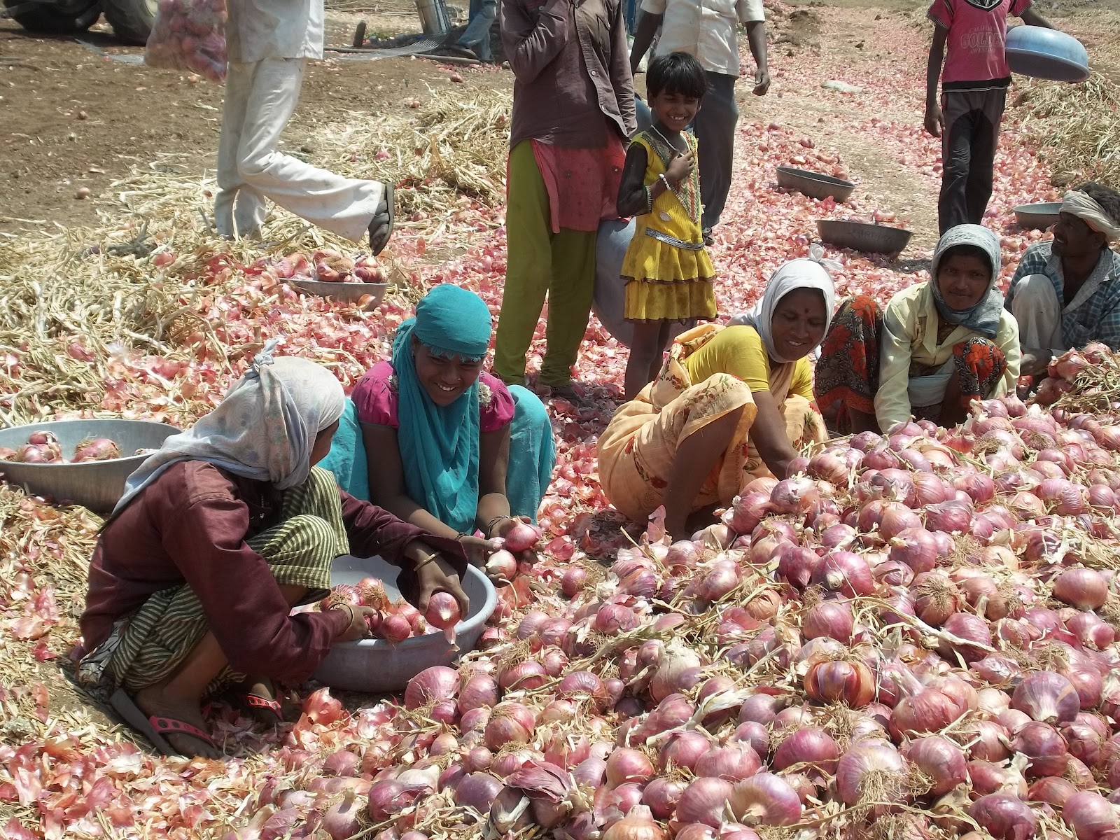 Wanderlust Onion Farm Experience