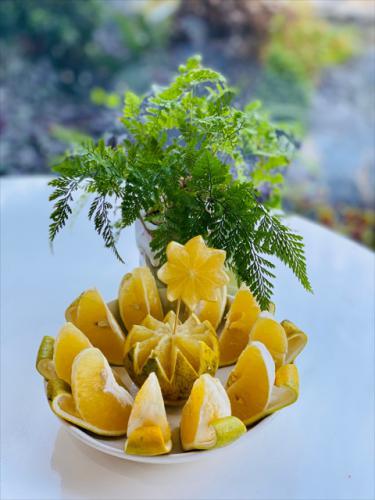 7c2e5d2f 63b1 44d4 b79c c9e64691dccd