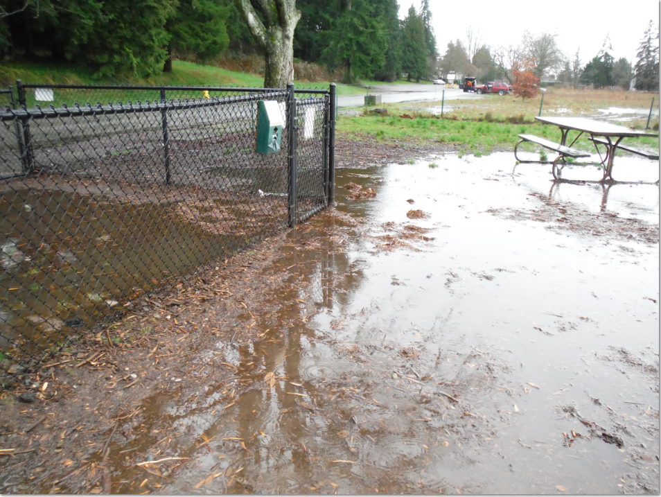 How Do I Clean My Gravel Dog Run