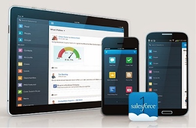 Salesforce Mobile application B2B