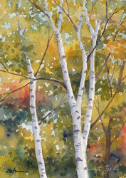 birch watercolor painting trees oil tree paintings fall landscape paper watercolour leaves landscapes paint autumn road zeh along scenes zehoriginalart