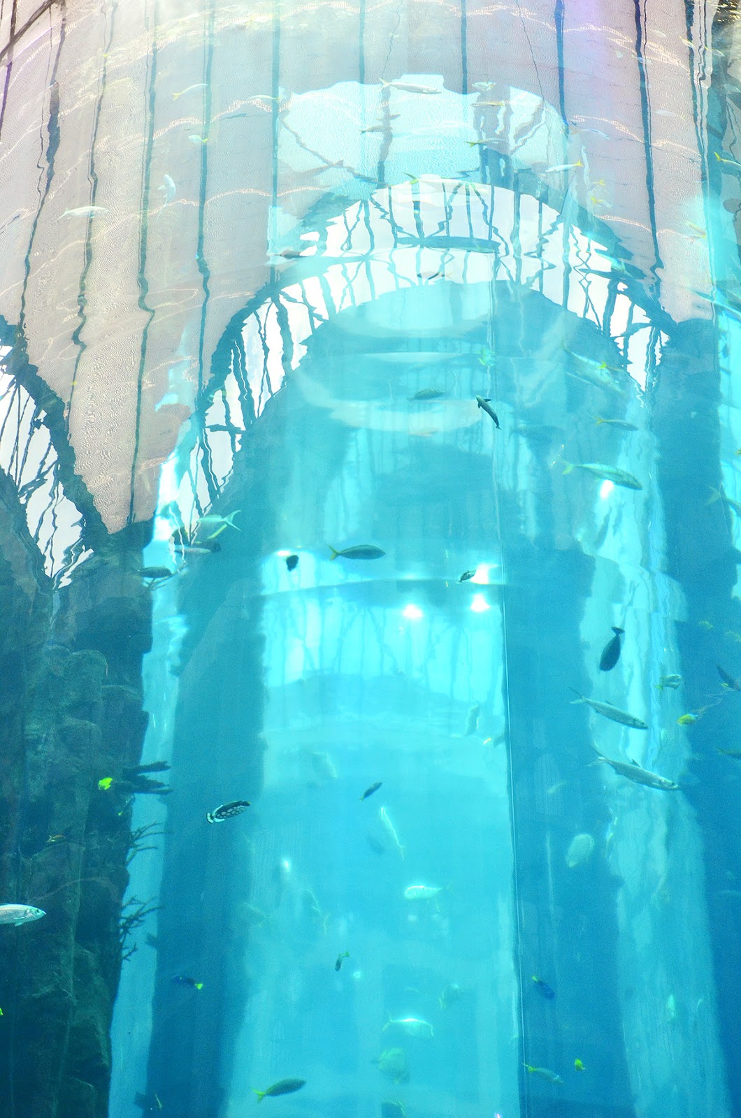 raddison blu hotel berlin germany raddison blu hotel berlin germany