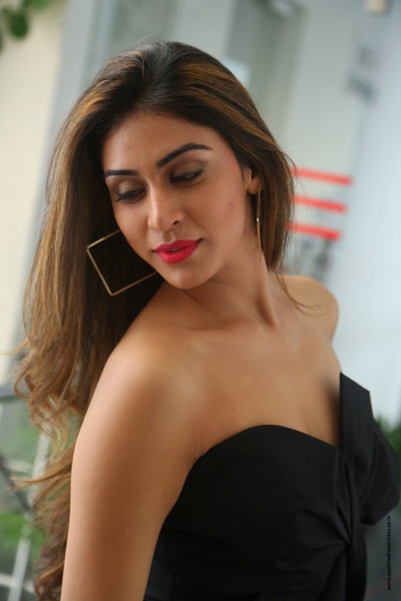 Myra Sareen at Officer movie Press Meet
