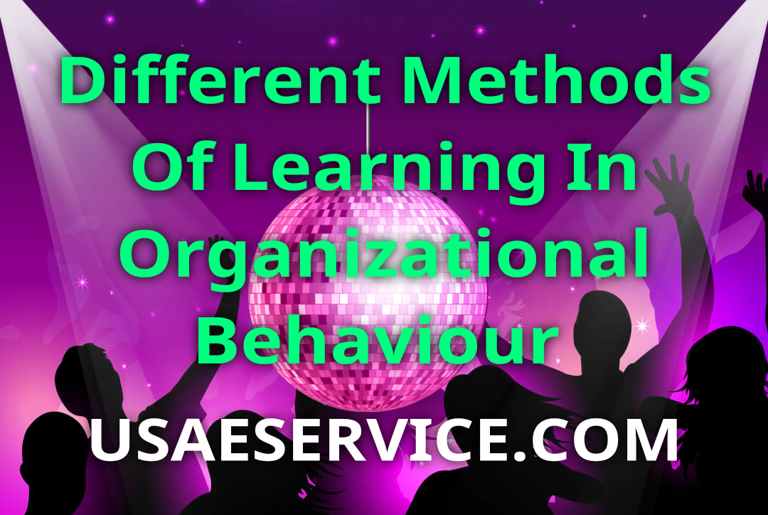 Learning Styles In Organizational Behaviour