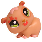 Littlest Pet Shop Small Playset Hamster (#1341) Pet