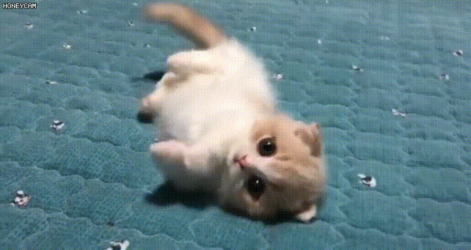 20190818143137_a742641aedf542d2da70a9f2e