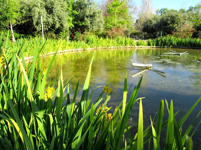 Parque de Marxalenes, abril 2014 - Paseos Fotográficos Valencia