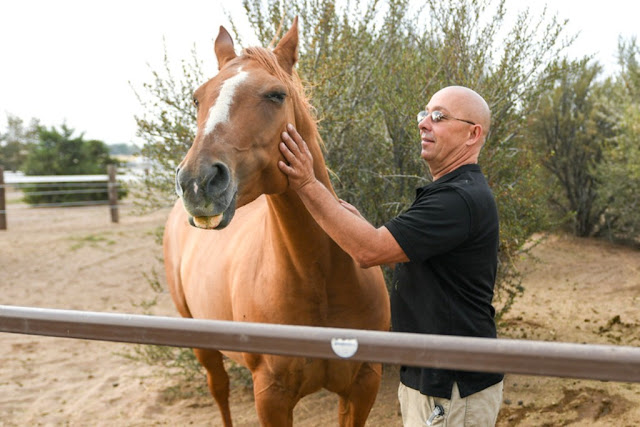 Beautiful Horse Wallpaper - 4